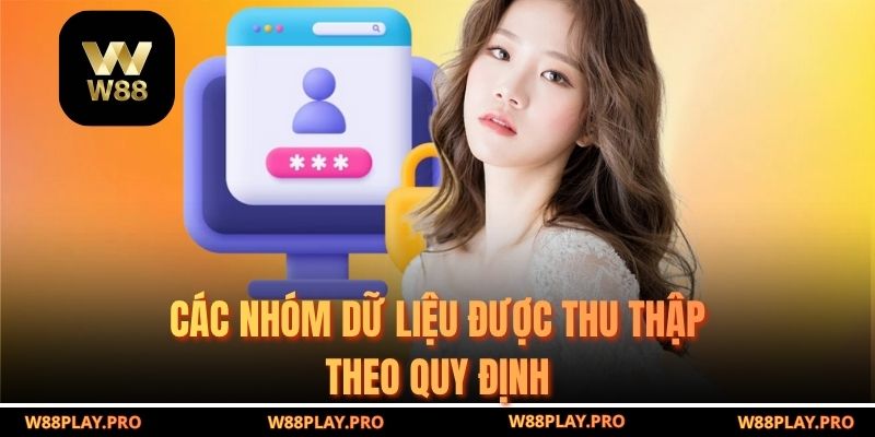 Các nhóm dữ liệu được thu thập theo quy định