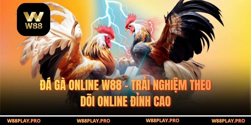 Đá Gà Online W88 – Trải Nghiệm Theo Dõi Online Đỉnh Cao