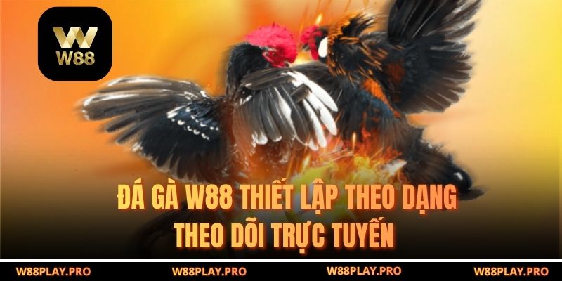 Đá gà W88 thiết lập theo dạng theo dõi trực tuyến 