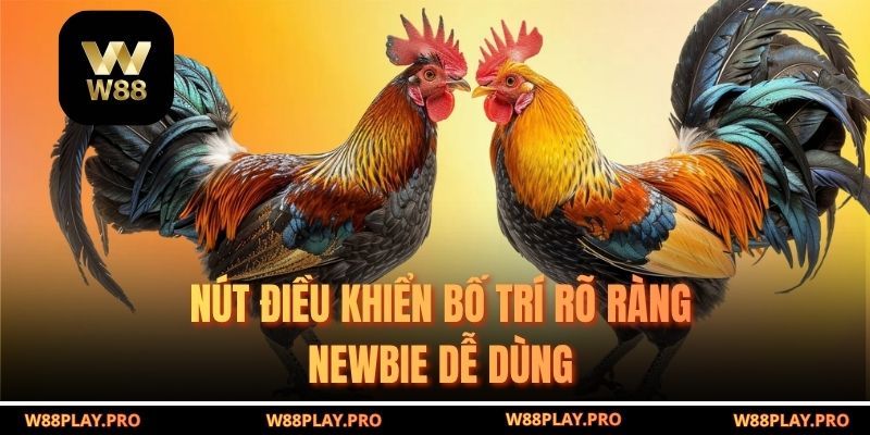Nút điều khiển bố trí rõ ràng newbie dễ dùng