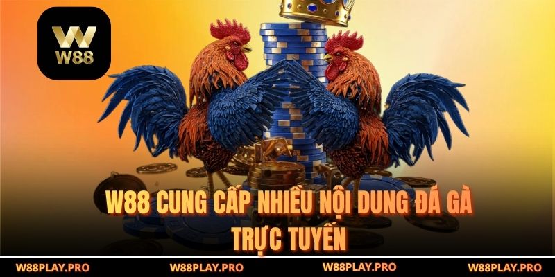 W88 cung cấp nhiều nội dung đá gà trực tuyến