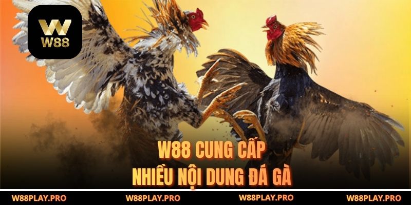 W88 cung cấp nhiều nội dung đá gà 